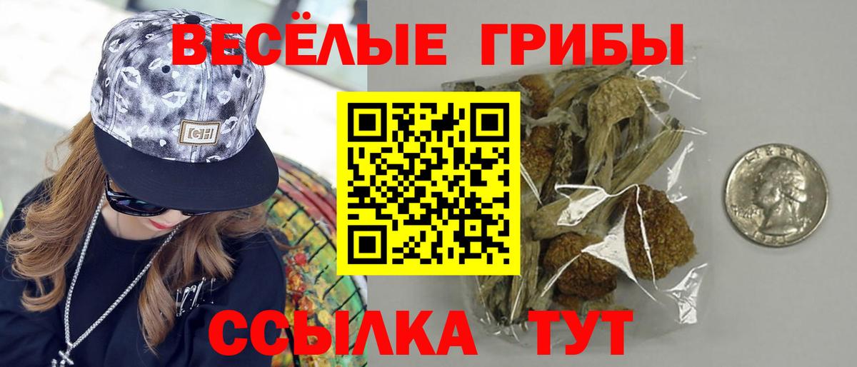 Псилоцибиновые грибы Psilocybine cubensis  где найти   Грязи  Вход с VPN 